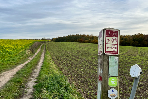 Wandelknooppunt fotozoektocht Bronbossen 2026
