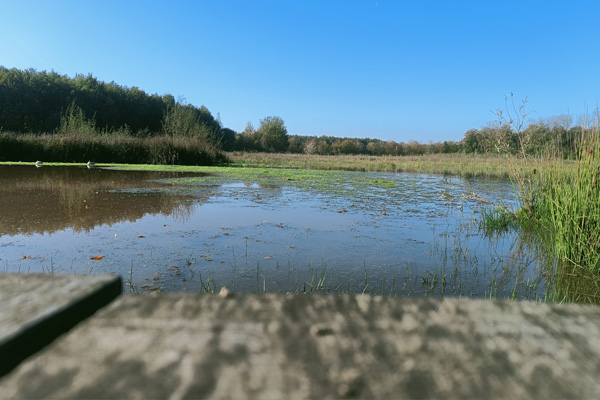 Wandelknooppunt fotozoektocht Bulskampveld