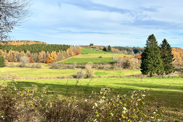 Wandelknooppunt fotozoektocht Oostkantons 2026