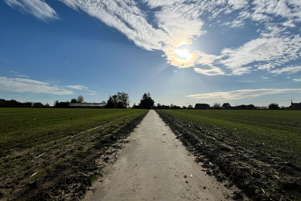 Wandelknooppunt fotozoektocht Poelberg-Baliekouter-Brielmeersen 2026